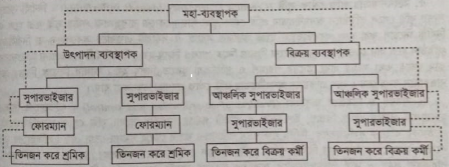 ছোট ব্যবস্থাপনা পরিসরের অসুবিধা | ব্যবস্থাপনা পরিসর ও বিভাগীয়করণ | ব্যবস্থাপনা নীতিমালা