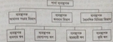বিভাগীয়করণের ভিত্তি / পদ্ধতি / প্রকারভেদ | ব্যবস্থাপনা পরিসর ও বিভাগীয়করণ | ব্যবস্থাপনা নীতিমালা