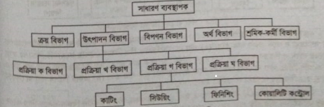 বিভাগীয়করণের ভিত্তি / পদ্ধতি / প্রকারভেদ | ব্যবস্থাপনা পরিসর ও বিভাগীয়করণ | ব্যবস্থাপনা নীতিমালা