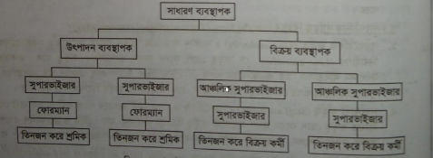 রৈখিক বা সরলরৈখিক কর্তৃত্ব | কর্তৃত্বাপণ ও বিকেন্দ্রীকরণ