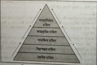 মাসলোর চাহিদা সোপান তত্ত্ব