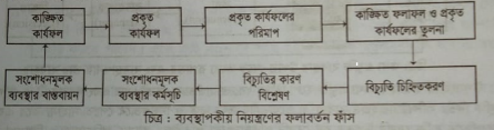 ফলাবর্তন সিস্টেম হিসেবে নিয়ন্ত্রণ